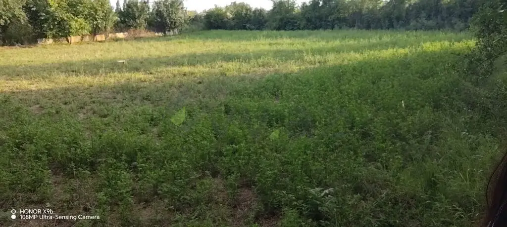 10 sot Torpaq Satılır, Saatlı — Torpaq, Saatlı (3)