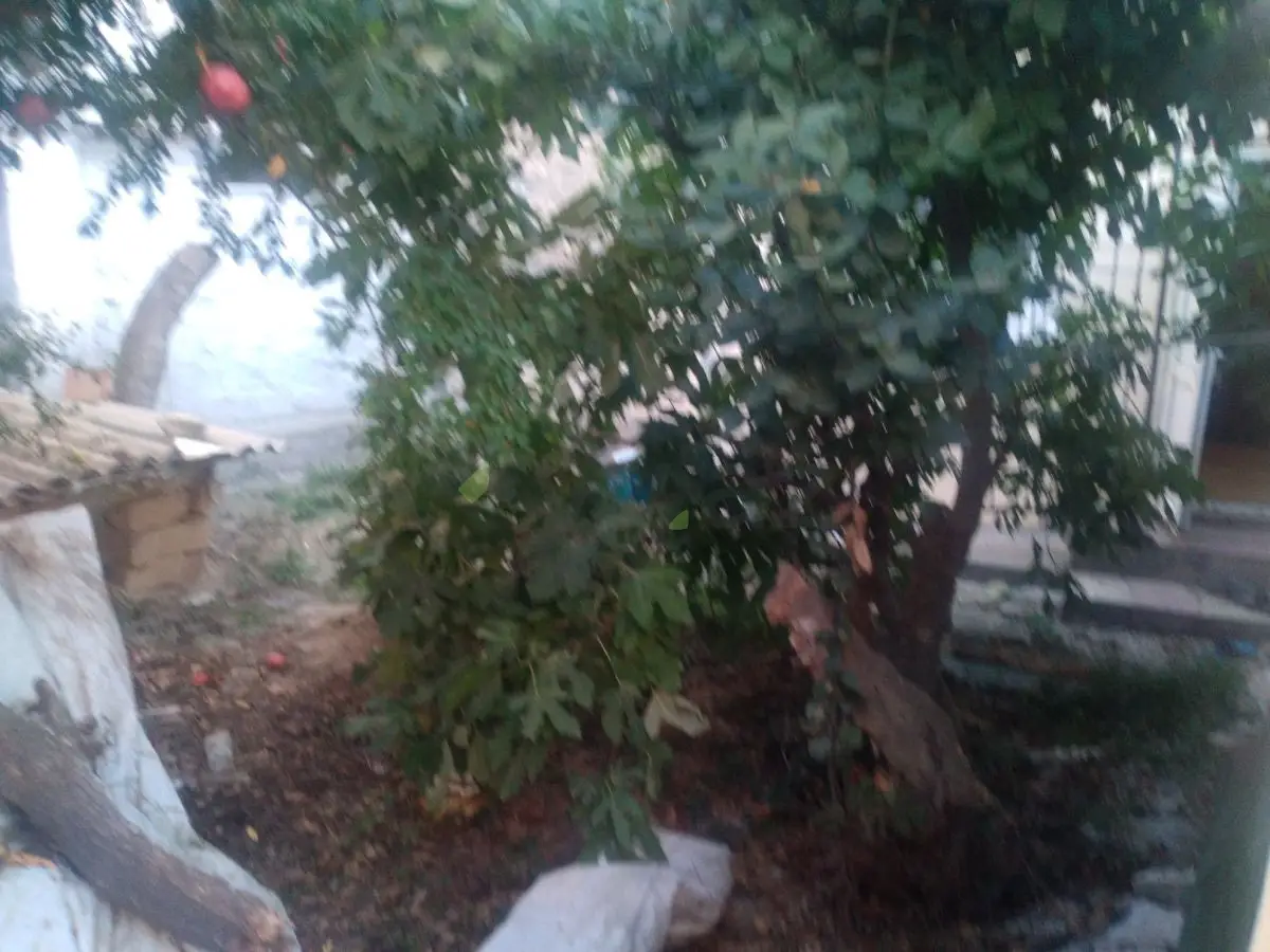 4 otaqlı Həyət evi Satılır, Montin qəs., Nərimanov, Bakı — Ev, villa, Bakı (9)