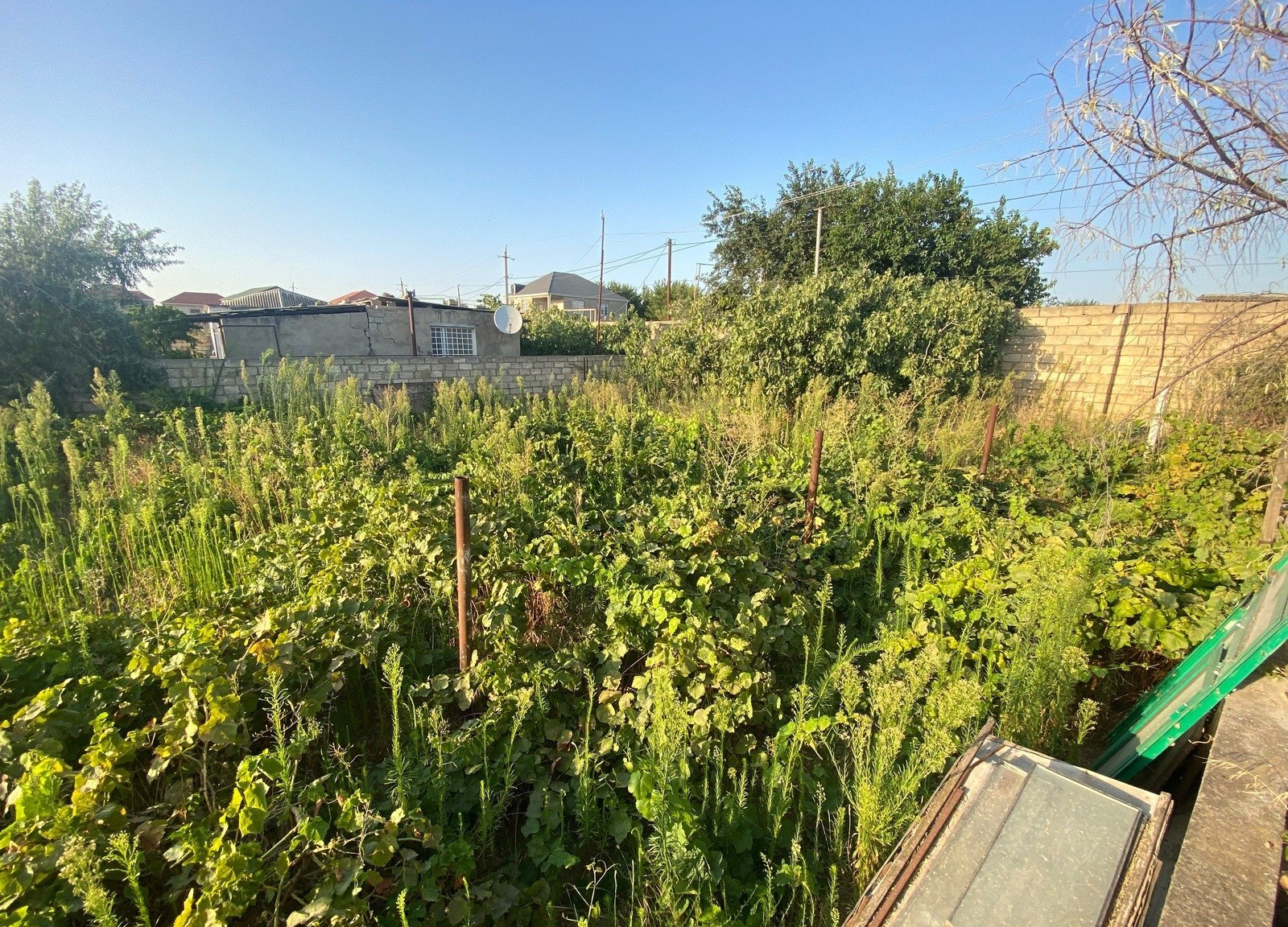 21.5 sot torpaq sahəsi satılır — Torpaq, Abşeron (6)