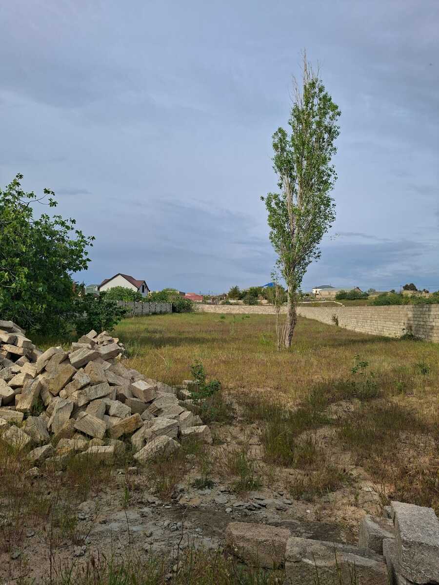 Satılır torpaq 25 sot — Torpaq, Bakı (6)