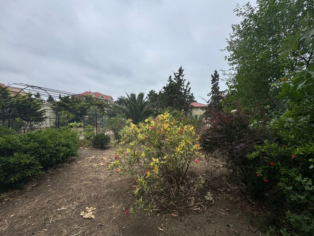 Satılır torpaq 24 sot — Torpaq, Bakı (9)