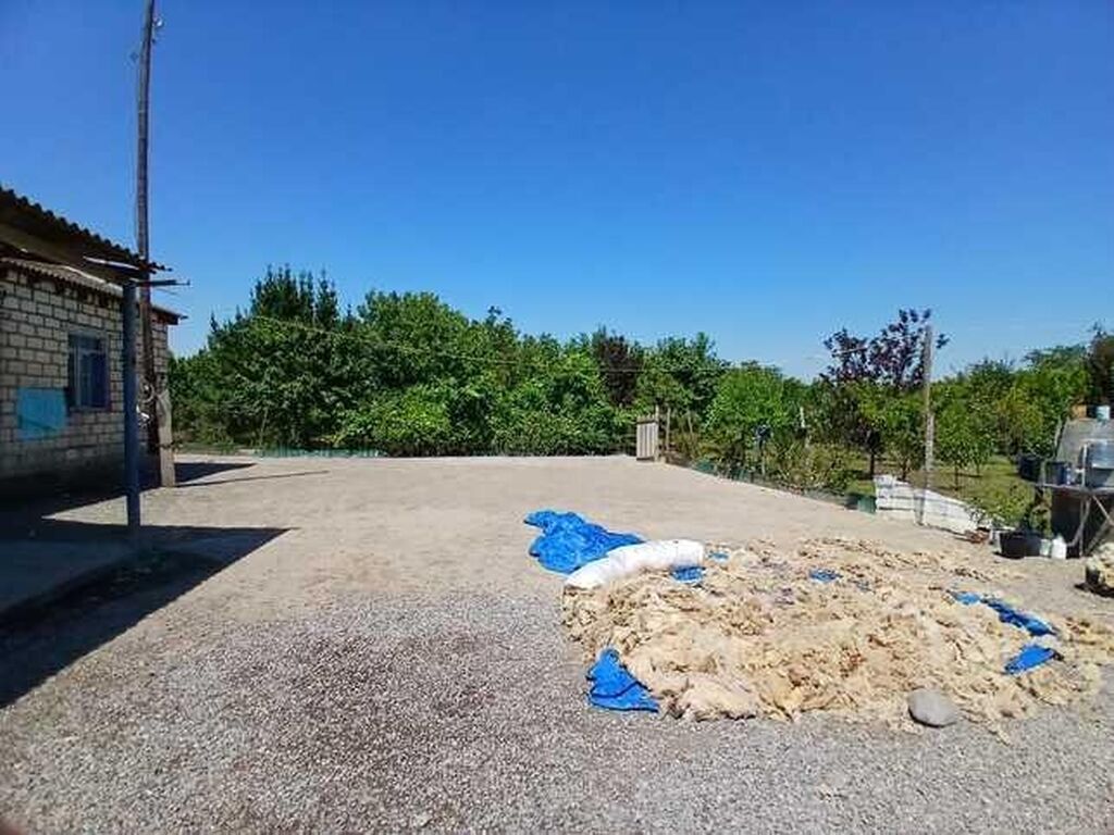 3 otaqlı, 102 kv. m, Kredit yoxdur, Orta təmir — Ev, villa, Yevlax (7)
