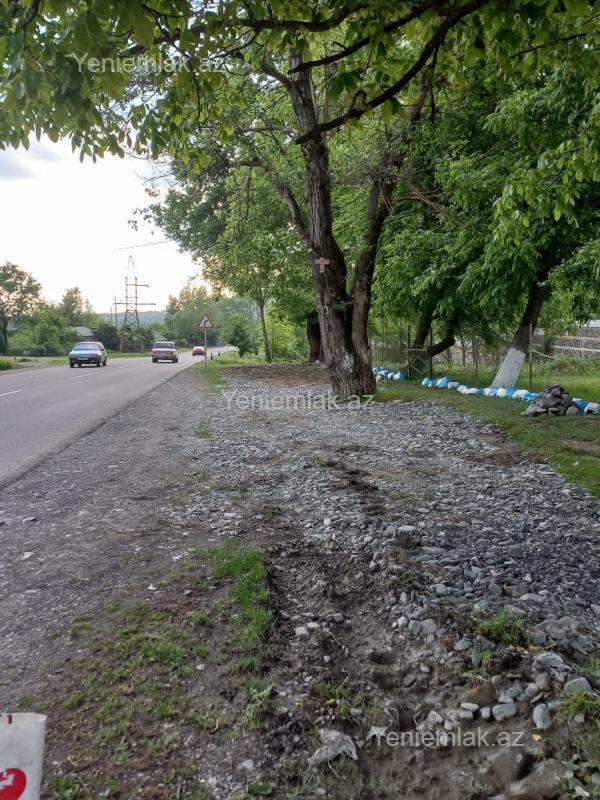 Satılır Torpaq sahəsi, 15 sot, Qəbələ — Torpaq, Qəbələ (3)