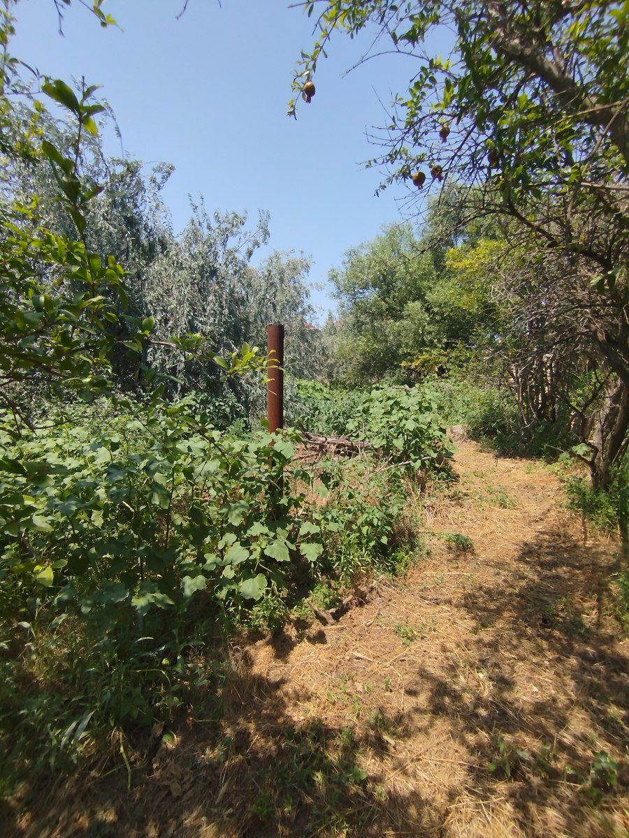 Satılır torpaq 20 sot — Torpaq, Bakı (10)