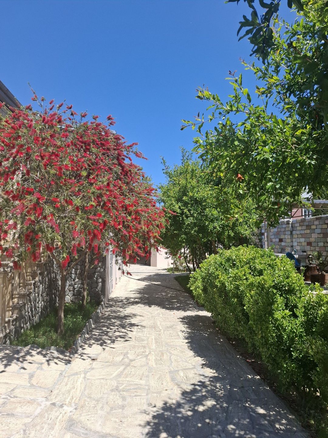 İcarəyə verilir 3 otaqlı həyət evi/bağ evi 160 m² — Ev, villa, Bakı (8)