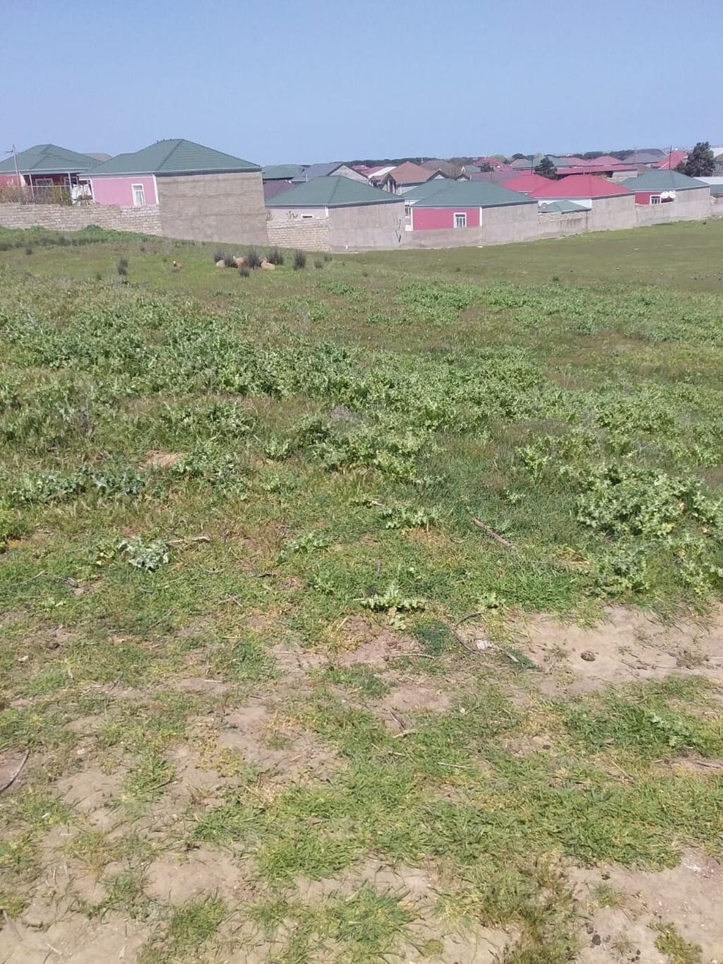 18 sot, Tikinti, Barter mümkündür — Torpaq, Bakı