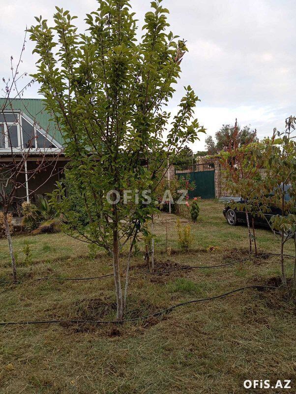 Torpaq Satılır Sabunçu r., Nardaran q., 12 sot — Torpaq, Bakı (6)