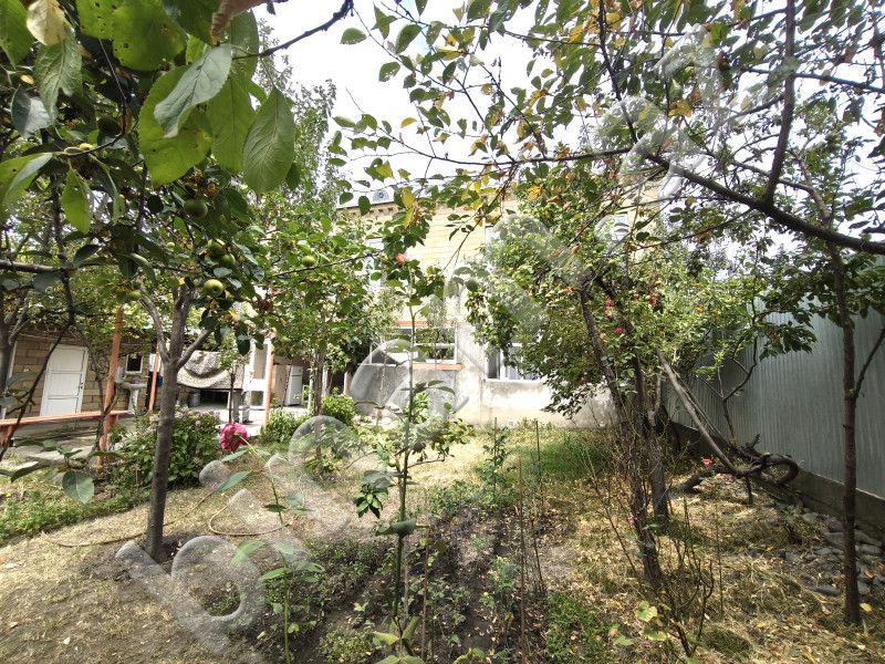 6 otaqlı Villa / Həyət evi, Satış, Zaqatala — Ev, villa, Zaqatala (3)