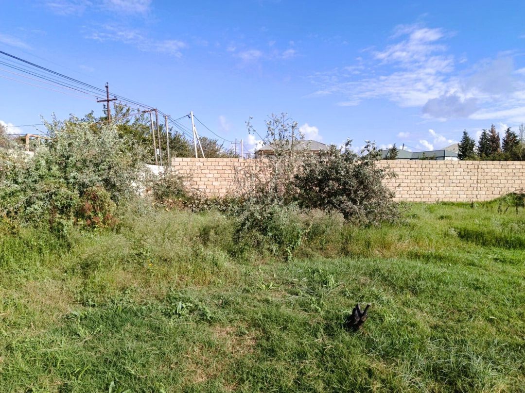 Satılır torpaq 7 sot — Torpaq, Bakı (4)