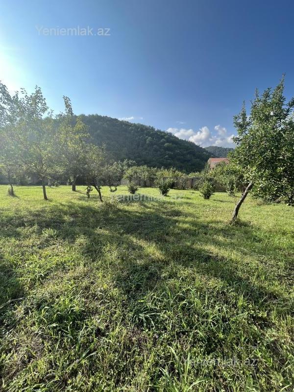 Satılır Torpaq sahəsi, 15 sot, Qəbələ — Torpaq, Qəbələ (8)