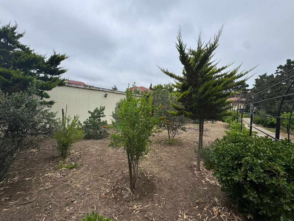 Satılır torpaq 24 sot — Torpaq, Bakı (12)