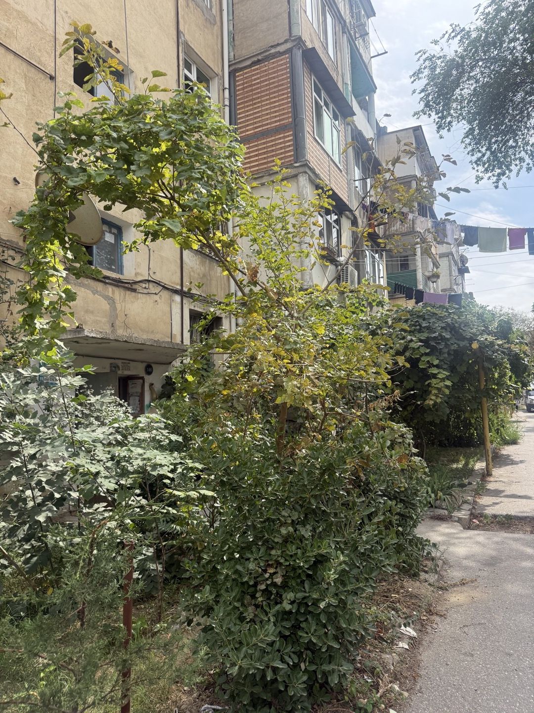 Satılır 1 otaqlı yeni tikili 33 m² — Mənzil, Bakı (9)