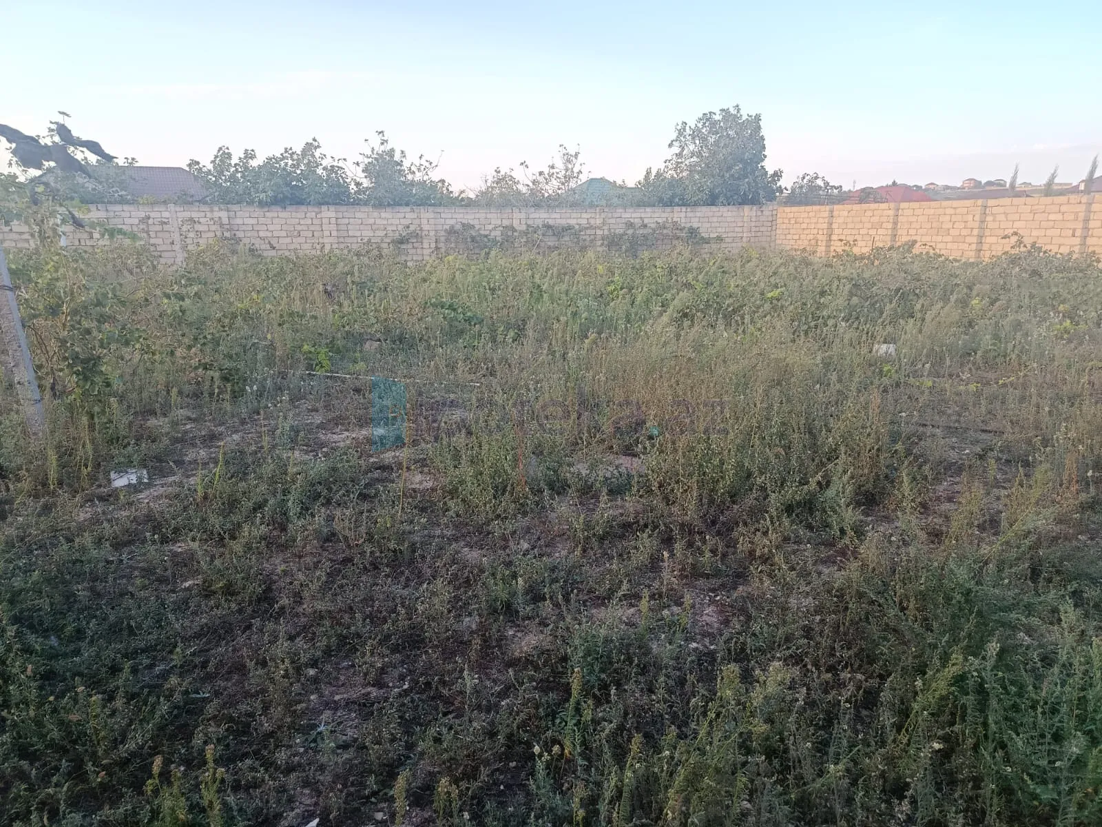 Satılır: Torpaq, Abşeron r., Saray q., 10.00 sot — Saray