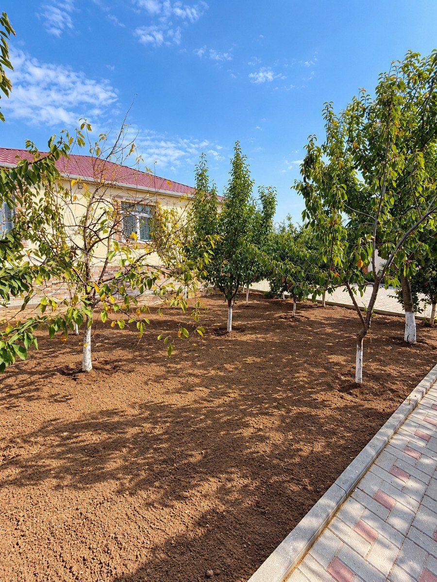 Satılır 4 otaqlı həyət evi/bağ evi 170 m² — Ev, villa, Bakı (6)
