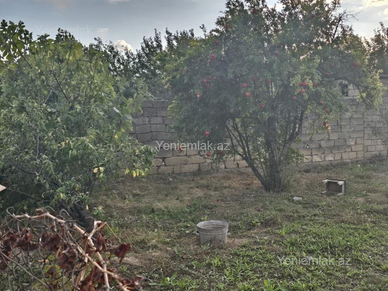 Satılır 4 otaqlı Həyət evi / Villa, 150 m², Saray — Ev, villa, Abşeron (3)