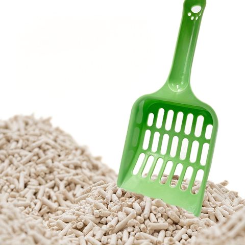 Xəkəndaz pişik tualeti üçün, plastik, yaşıl — Bakı