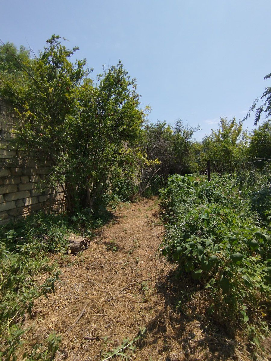 Satılır torpaq 20 sot — Torpaq, Bakı (5)