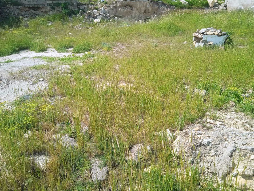 Satılır torpaq 6 sot — Torpaq, Bakı (2)