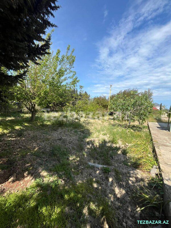 Buzovnada həyət evi satılırrr — Ev, villa, Bakı (10)