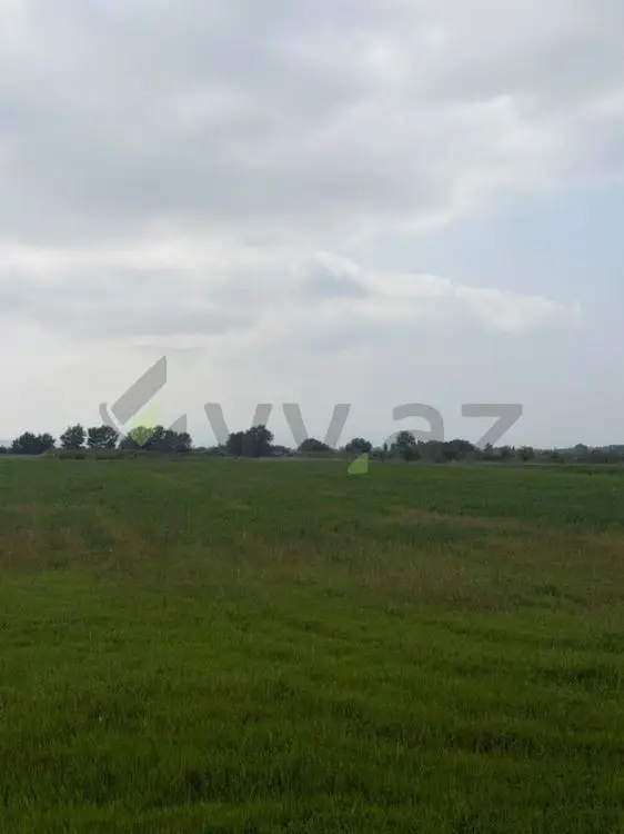 114 sot Torpaq Satılır, Xaçmaz — Torpaq, Xaçmaz (6)