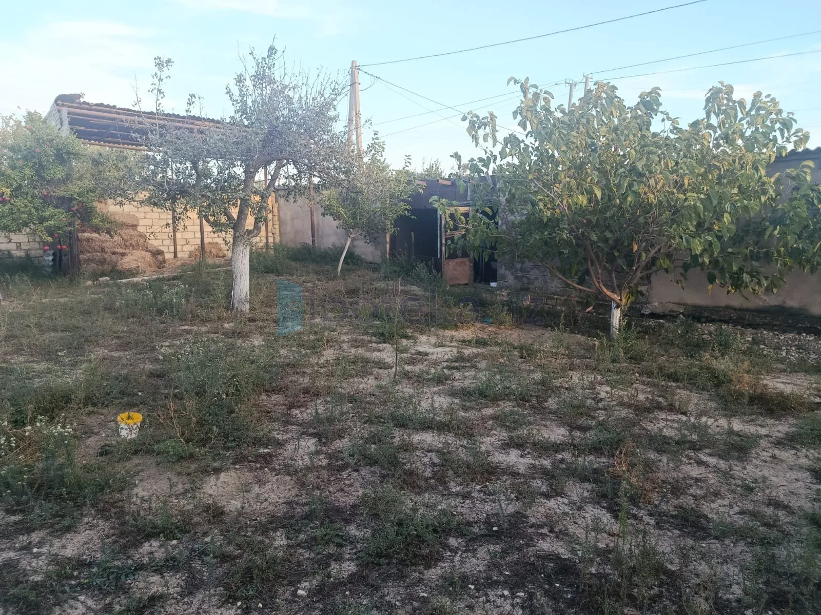 Satılır: Torpaq, Abşeron r., Saray q., 10.00 sot — Torpaq, Saray (3)