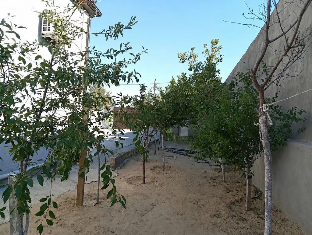4 otaqlı Həyət evi Satılır, Saray, Abşeron — Ev, villa (2)
