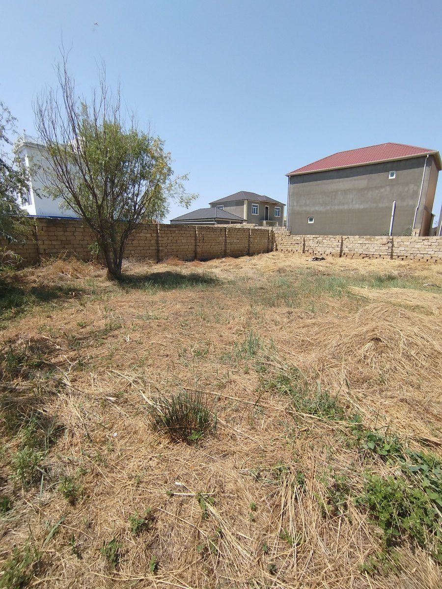 Satılır torpaq 20 sot — Torpaq, Bakı (7)