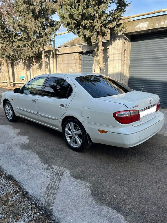 Nissan Maxima, 3.0 L, 2003 il, 501 000 km — Avtomobillər, Bakı (2)