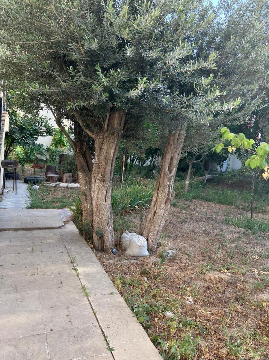 Satılır torpaq 12 sot — Torpaq, Bakı (4)