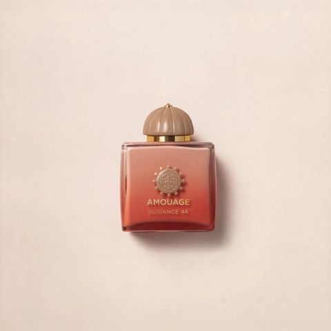 No Brand Guidance 46 qadınlar üçün ətir suyu 100 ml — Bakı