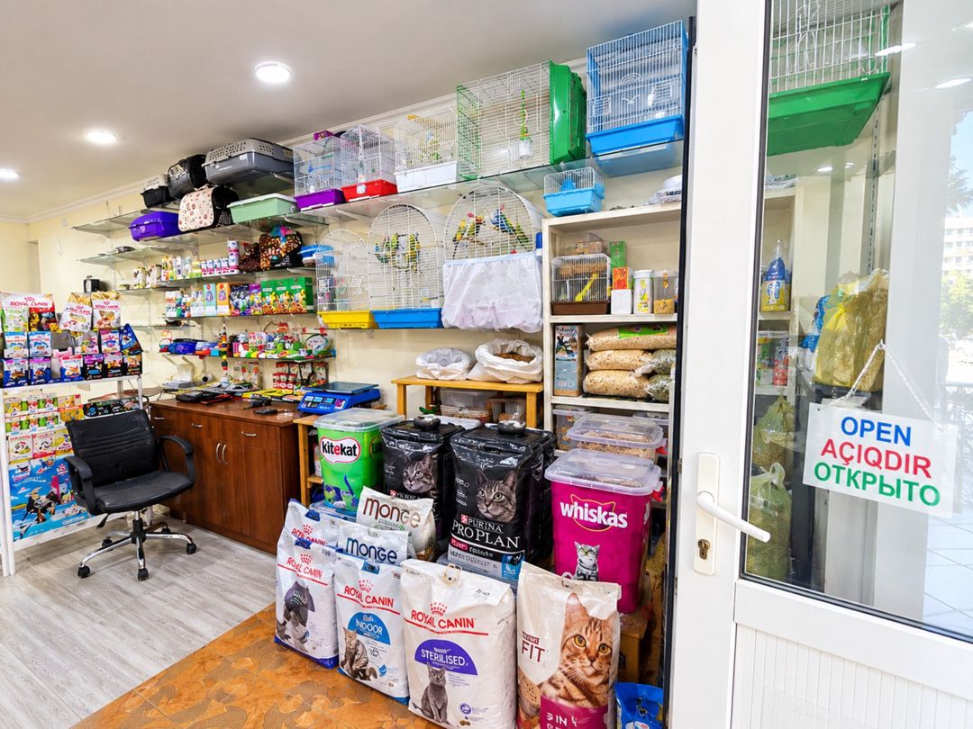 Satılır obyekt 65 m² — Əmlak, Bakı (3)