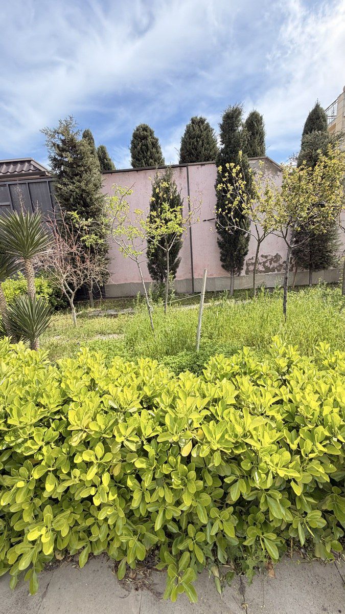 Satılır 4 otaqlı həyət evi/bağ evi 140 m² — Ev, villa, Bakı (8)