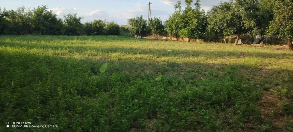 10 sot Torpaq Satılır, Saatlı — Torpaq, Saatlı (6)