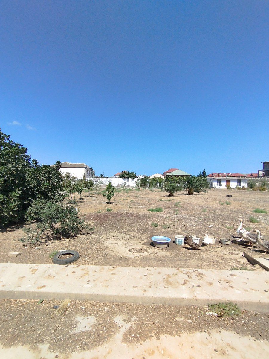 Satılır torpaq 45 sot — Torpaq, Bakı (3)