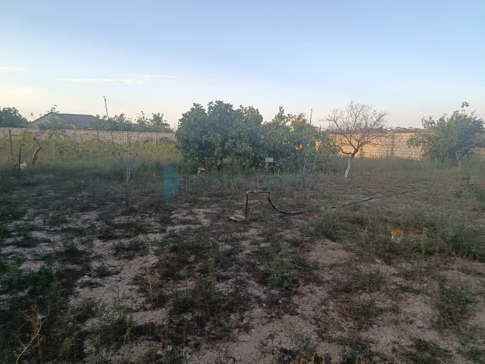 Satılır: Torpaq, Abşeron r., Saray q., 10.00 sot — Torpaq, Saray (4)