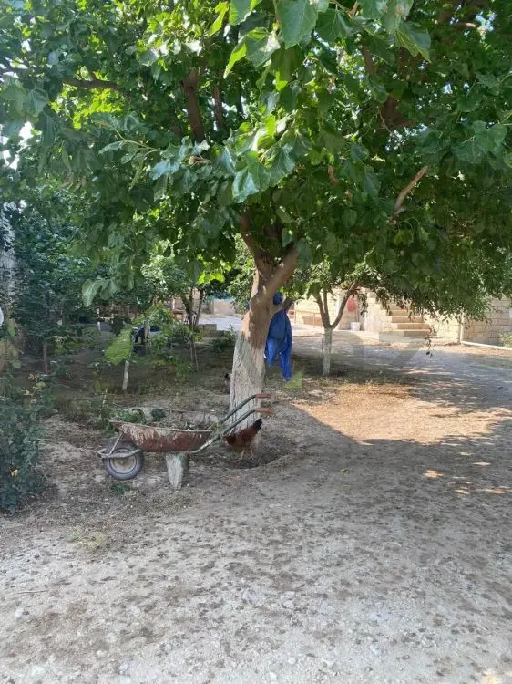 3 otaqlı Həyət evi Satılır, Ceyranbatan qəs., Abşeron — Ev, villa (5)