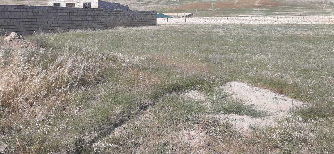 Satılır torpaq 40 sot — Torpaq, Bakı (6)