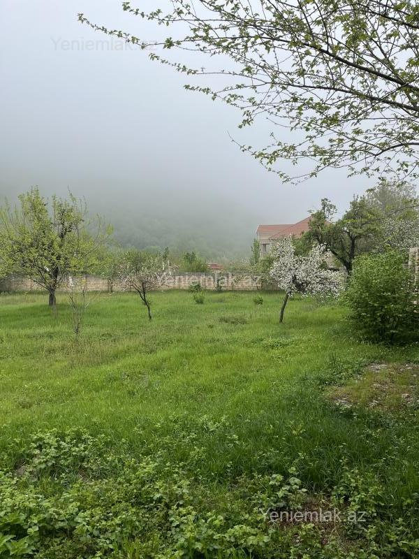 Satılır Torpaq sahəsi, 15 sot, Qəbələ — Torpaq, Qəbələ (7)