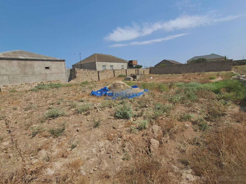 For sale: land, 4 sot — Torpaq, Bakı (2)