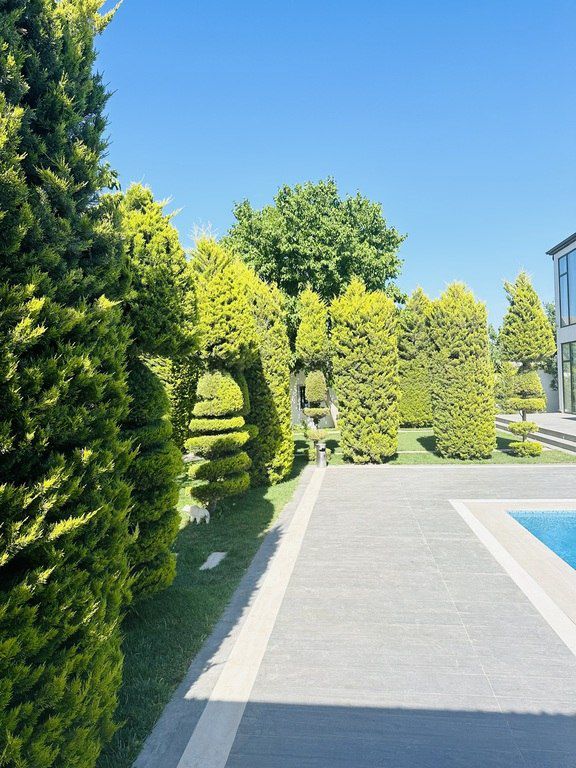 İcarəyə verilir 5 otaqlı həyət evi/bağ evi 290 m² — Ev, villa, Bakı (8)