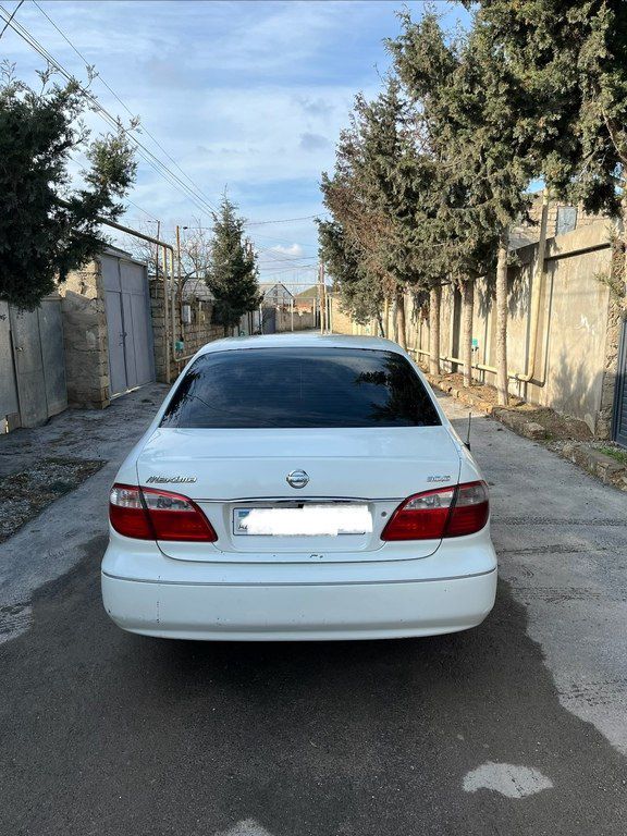 Nissan Maxima, 3.0 L, 2003 il, 501 000 km — Avtomobillər, Bakı (4)
