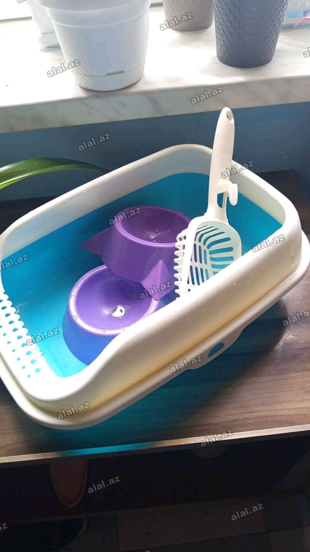 Heyvan aksesuarları seti - Akvarium: çoxbucaqlı formalı şüşə — Heyvanlar, Bakı (3)