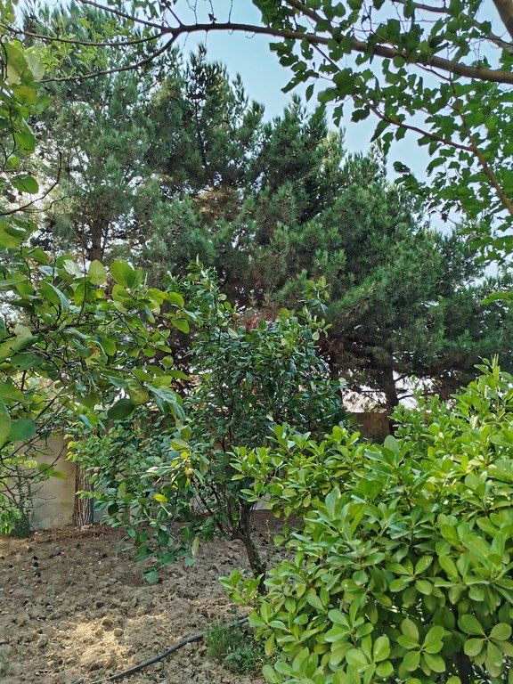 Satılır 8 otaqlı həyət evi/bağ evi 480 m² — Ev, villa, Bakı (3)