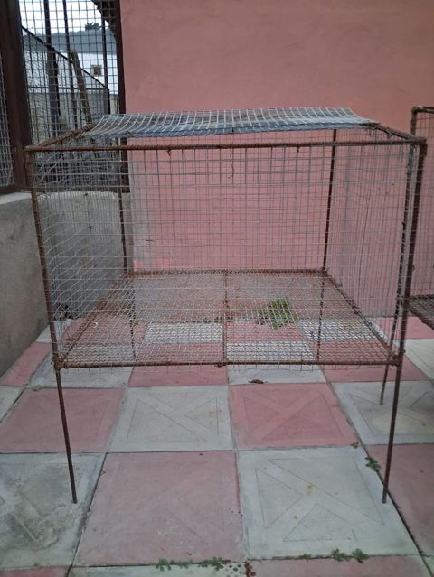 Ev heyvanları - dovşan, toyuq, cücə üçün qəfəslər. Ölçülər — Bakı