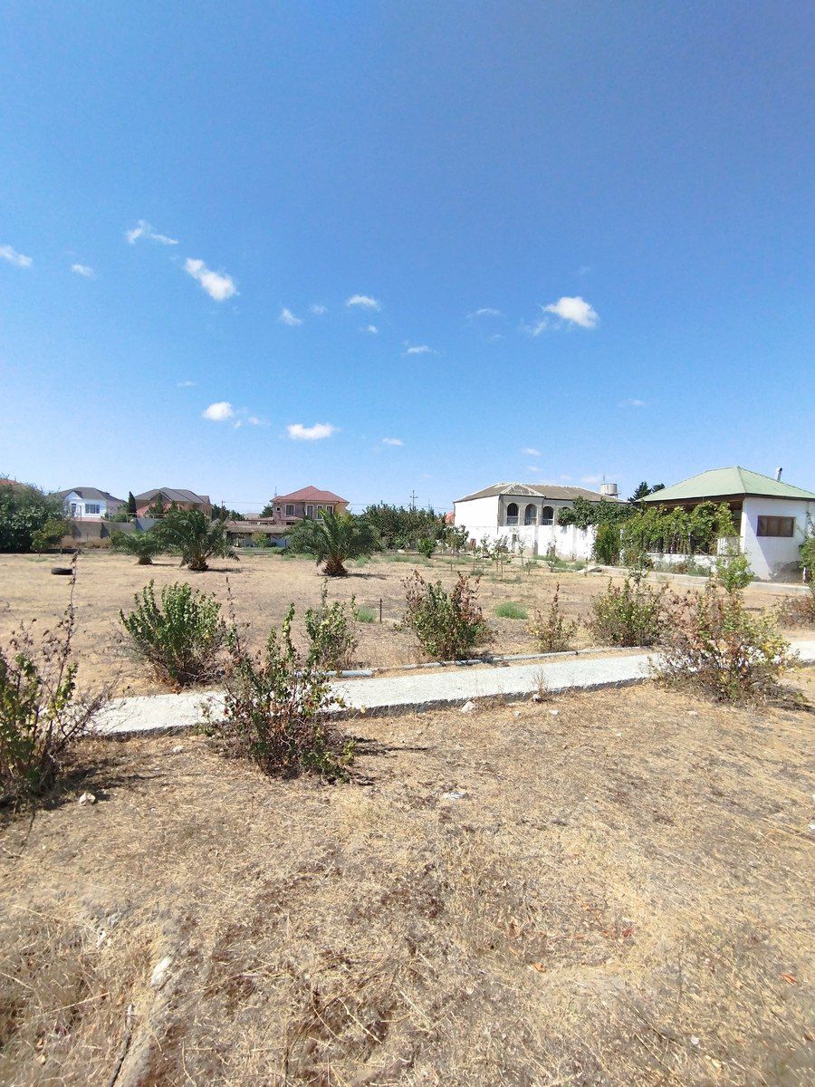 Satılır torpaq 45 sot — Torpaq, Bakı (11)