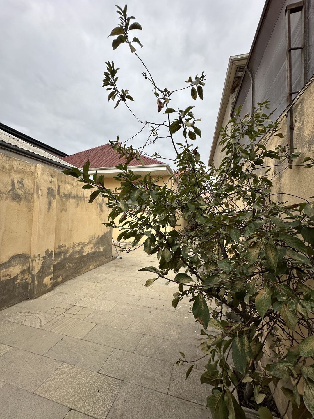 Satılır 3 otaqlı həyət evi/bağ evi 95 m² — Ev, villa, Bakı (2)