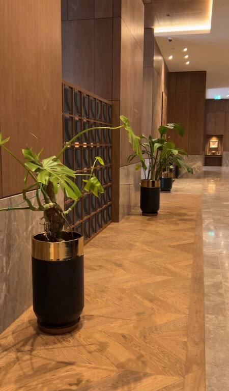 Satılır 2 otaqlı yeni tikili 90 m² — Mənzil, Bakı (4)