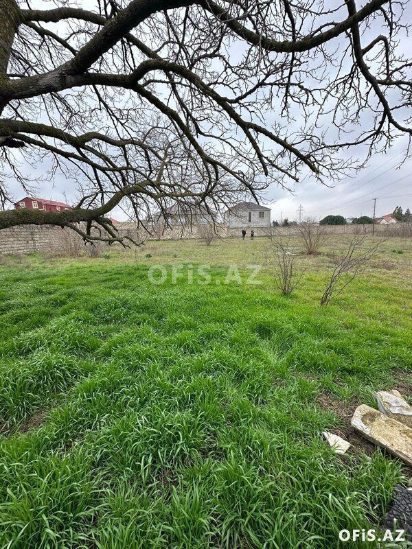Torpaq Satılır Xəzər r., Buzovna q., 10 sot — Torpaq, Bakı (2)