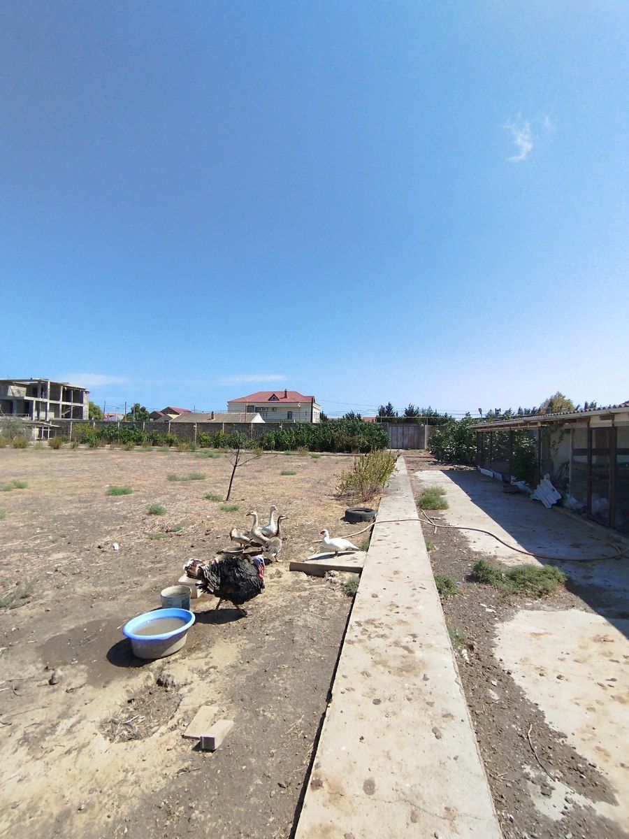 Satılır torpaq 45 sot — Torpaq, Bakı (8)