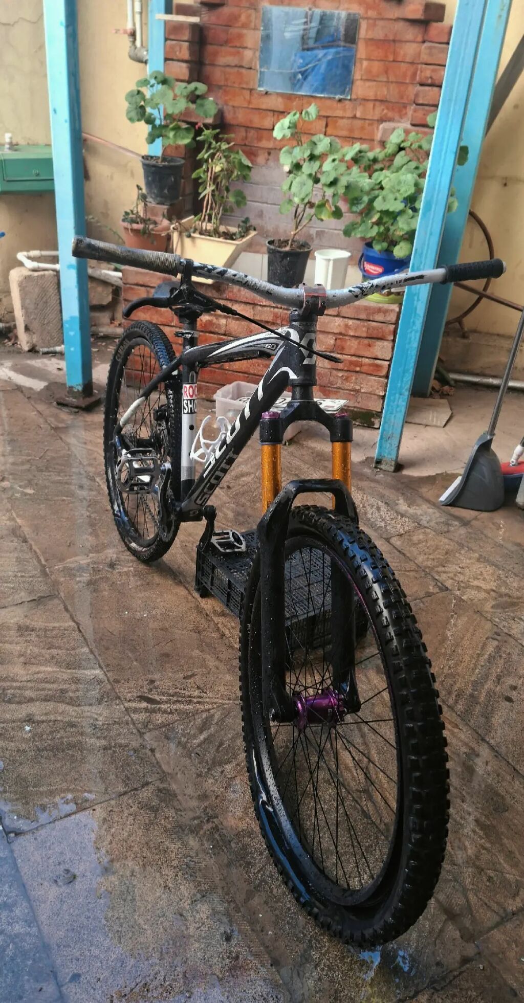 Scott Scale dağ velosipedi - Çərçivə: Scott Scale alüminium, hardtail — Dağ velosipedləri, Masazır (5)